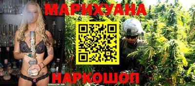 прущие крисы Будённовск