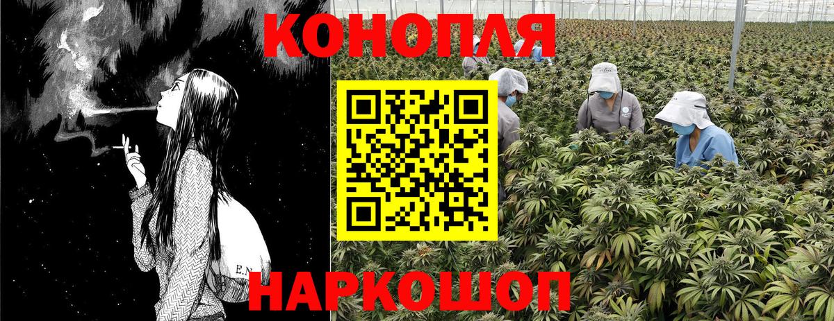 Бошки марихуана SATIVA & INDICA  Канабис планчик  Вход с VPN  Бошки марихуана Amnesia  Богородск  МАРИХУАНА Amnesia 